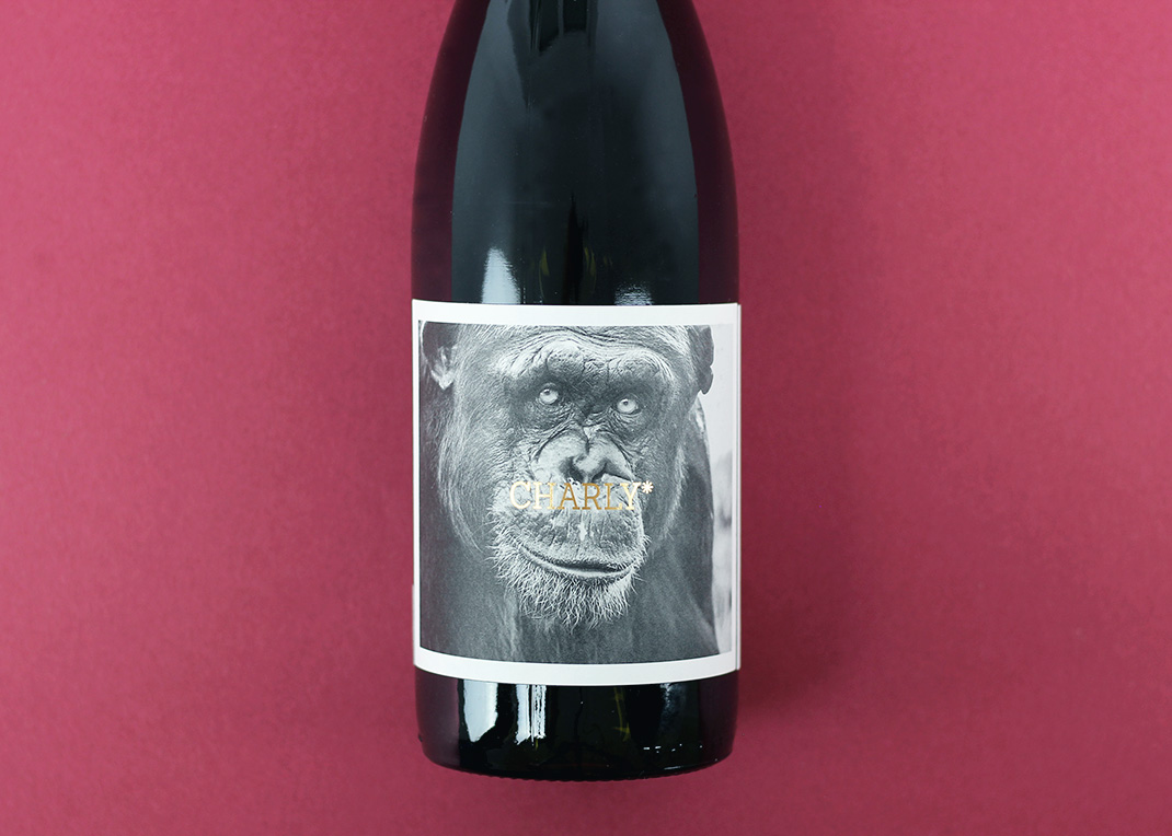 Mono negre «Victor» 2022